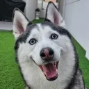 happy