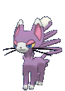 glameow