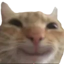 happycat