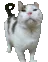 pagliboing