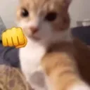 1_KnuckleSandwich