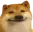 dogO dogO