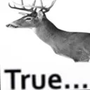 True