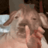 :creatureRant: