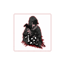 rotatingthumbnail