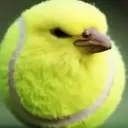 TennisBallBird