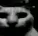 terror