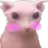 catblush catblush