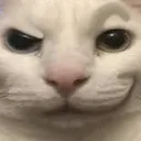 cat_smirk