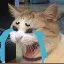 Badass_crying_cat