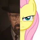 flutterguy