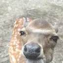 letmegetalookatya letmegetalookatya