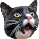 monaPanic