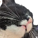monaSleep