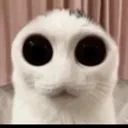 He