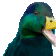 happy_duck