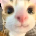 emoji_54 emoji_54