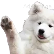 315200369154195457