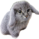 cabbit_floppaa Discord emoji