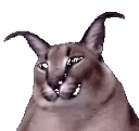 floppadance