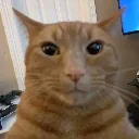 apocosimuybrg