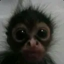 emoji_23