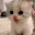 catmya
