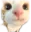 33 33