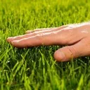 touchgrass