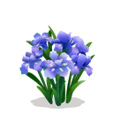 fsc_iris