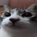 scarieststories scarieststories