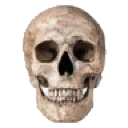 z_bskull z_bskull