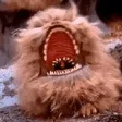 nyxiFERAL nyxiFERAL