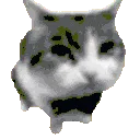 emoji_169 emoji_169