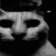 DespairCat