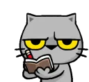 catwrite