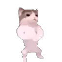 Cat_GangnamStyle
