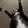 Jigglin