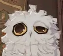 cokeowl