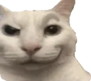 c_susCat c_susCat