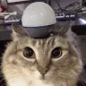 ALERT ALERT