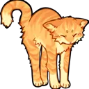4r_catstretchorange