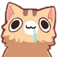 droolingkitty