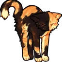 4r_catstretchcalico