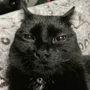 Yo