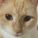 emoji_1