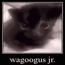 Wagoogus