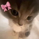imjustagirl
