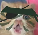 KittySnake
