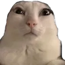 reginald5 reginald5